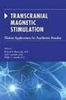 Richard A. Bermudes, Karl (EDT)/ Janicak Lanocha, Richard A. Bermudes, Richard A. (Assistant Clinical Professor Bermudes, Philip G. Janicak, Karl Lanocha - Transcranial Magnetic Stimulation