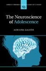 Galv¿ Adriana, Adriana Galvan, Adriana (University of California Galvan, Adriana Galván - Neuroscience of Adolescence