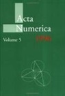 A. Iserles - Acta Numerica 1996