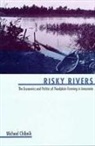 Michael Chibnik, Michael Chibnik - Risky Rivers