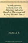 J. R. Hindley, Seldin J. P. Seldin, Hindley J. R. Hindley, J. P. Seldin - Introduction to Combinators and (lambda) Calculus