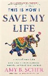 Amy Scher, Amy B Scher, Amy B. Scher - This Is How I Save My Life