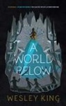 Wesley King - A World Below