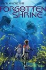 Monica Tesler, Tesler Monica - The Forgotten Shrine