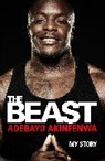 Adebayo Akinfenwa - The Beast