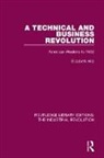 Elizabeth Hitz - Technical and Business Revolution