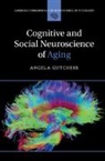 Angela Gutchess, Angela (Brandeis University Gutchess, GUTCHESS ANGELA - Cognitive and Social Neuroscience of Aging