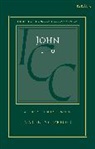 Martinus C de Boer, Martinus C. de Boer, DE BOER MARTINUS C, Christopher M Tuckett, Stuart Weeks - John 1-6