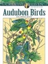Patricia J Wynne, Patricia J. Wynne - Creative Haven Audubon Birds Coloring Book