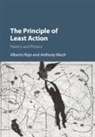 Anthony Bloch, Anthony (University of Michigan Bloch, Alberto Rojo, Alberto (Oakland University Rojo - Principle of Least Action