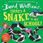 DAVID WALLIAMS ILLU, David Walliams, Tony Ross - There's a Snake in My School!
