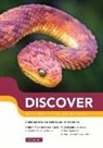Martin Cole, COLE MARTIN - Discover: Book 4: Bible Notes for Young People 4