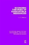 T. J. C. Robinson - Economic Theories of Exhaustible Resources