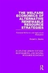 Professor Robert N. Stavins, Robert N. Stavins - Welfare Economics of Alternative Renewable Resource Strategies
