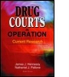 James Joseph Hennessy, Hennessy James Joseph, Nathaniel J. Pallone, James J. Hennessy, James Joseph Hennessy, Nathaniel J. Pallone - Drug Courts in Operation