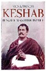 John A. Stevens, Stevens John A. - Keshab