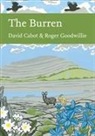 David Cabot, David Goodwillie Cabot, DAVID CABOT AND ROGE, Roger Goodwillie - Burren