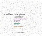 James Frey - A Million Little Pieces (Audiolibro)