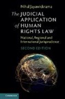 Nihal Jayawickrama, Jayawickrama Nihal - Judicial Application of Human Rights Law