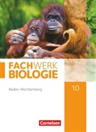 Andreas Marquarth, Anke Pohlmann, Hannelore Breslawsky, Ud Hampl, Udo Hampl, Andrea Marquarth... - Fachwerk Biologie, Ausgabe Baden-Württemberg: Fachwerk Biologie - Baden-Württemberg - 10. Schuljahr