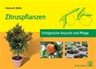 Heinrich Beltz - Zitruspflanzen
