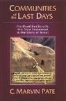 C Marvin Pate, C. Marvin Pate - Communities of the Last Days