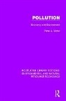 Peter A. Victor, Victor Peter A. - Pollution