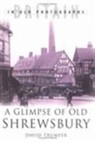 David Trumper - Glimpse of Old Shrewsbury