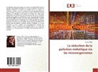Soraia El Baz - La réduction de la pollution métallique via les microorganismes