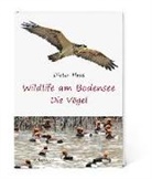 Haas Dieter, Dieter Haas - Wildlife am Bodensee