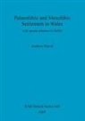 Andrew David - Palaeolithic and Mesolithic Settlement in Wales: With Special Reference to Dyfed