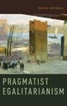 David Rondel, David (Assistant Professor Rondel, Rondel David - Pragmatist Egalitarianism