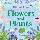 Tracy Cottingham, Tracy Cottingham, Cottingham Tracy - Flowers and Plants