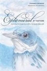 Stephen Lyn Bales - Ephemeral by Nature