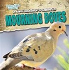 Aife Arnim - A Bird Watcher's Guide to Mourning Doves