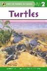 Pedro Julio Gonzalez, Jodi Huelin - Turtles
