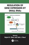 Rajesh K. (Beckman Research Institute Gaur, Rajesh K. Rossi Gaur, Rajesh K. Gaur, Rajesh K. (Beckman Research Institute Gaur, Gaur Rajesh K., John J. Rossi... - Regulation of Gene Expression By Small Rnas