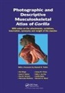 Rui (Howard University Diogo, Rui (Howard University College of Medicine Diogo, Rui Potau Diogo, Mercedex Barbosa, Mercedex (Universidad de Valladolid Barbosa, Gaelle Bello... - Photographic and Descriptive Musculoskeletal Atlas of Gorilla