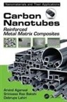 Agarwal, Arvind Agarwal, Arvind (Florida International University Agarwal, Srinivasa Rao Bakshi, Srinivasa Rao (Florida International University Bakshi, Debrupa Lahiri... - Carbon Nanotubes