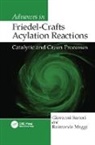 Raimondo Maggi, Raimondo (University of Parma Maggi, Maggi Raimondo, Sartori, Giovanni Sartori, Giovanni (University of Parma Sartori... - Advances in Friedel-Crafts Acylation Reactions