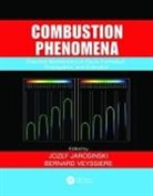 Jozef (Technical University of Lodz Jarosinski, Jozef Veyssiere Jarosinski, Jozef Jarosinski, Jozef (Technical University of Lodz Jarosinski, Jarosinski Jozef, Bernard Veyssiere... - Combustion Phenomena