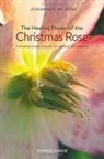 Johannes Wilkens - Healing Power of the Christmas Rose