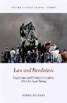 Nimer Sultany, Nimer (Senior Lecturer in Public Law Sultany - Law and Revolution