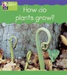 PYP L4 How Plants Grow single