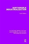 David Wallace - Sustainable Industrialization