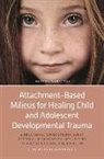 John Stewart, John Neal Stewart - Attachment Based Milieus for Healing Child Adolescent Developmental