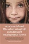 John Stewart, Stewart John - Attachment Based Milieus for Healing Child Adolescent Developmental