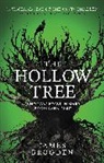 James Brodgen, James Brogden, Brogden James - Hollow Tree
