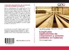 Francisco Santiago Gabino, Sandra Zul Tena Galván, Sandra Zulema Tena Galván, Juan Antoni Tena Verdejo, Juan Antonio Tena Verdejo - Longitudes equivalentes de conexiones y uniones soldadas en tuberías