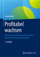Guido Quelle - Profitabel wachsen